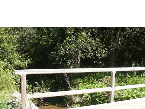 Foto 34